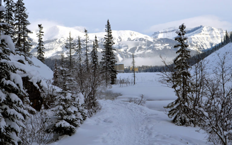 Views Along Alberta Winter Hikes :: I've Been Bit! A Travel Blog