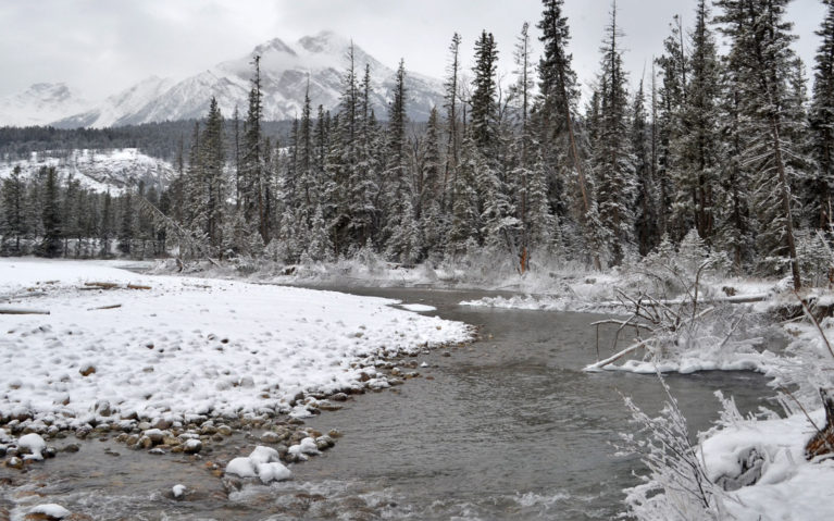 What to Do in Alberta? Visit Maligne Canyon! :: I've Been Bit! A Travel Blog