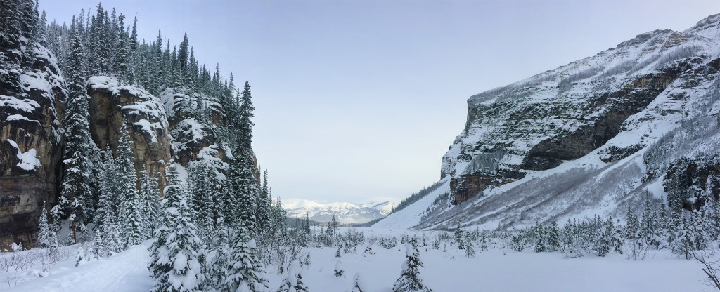 Views of Lake Louise :: I've Been Bit! A Travel Blog