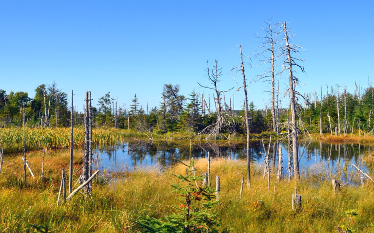 Views Along the Trail :: I've Been Bit! A Travel Blog