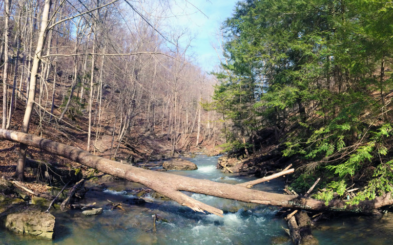 Upstream Beaver Dams Creek :: I've Been Bit! A Travel Blog