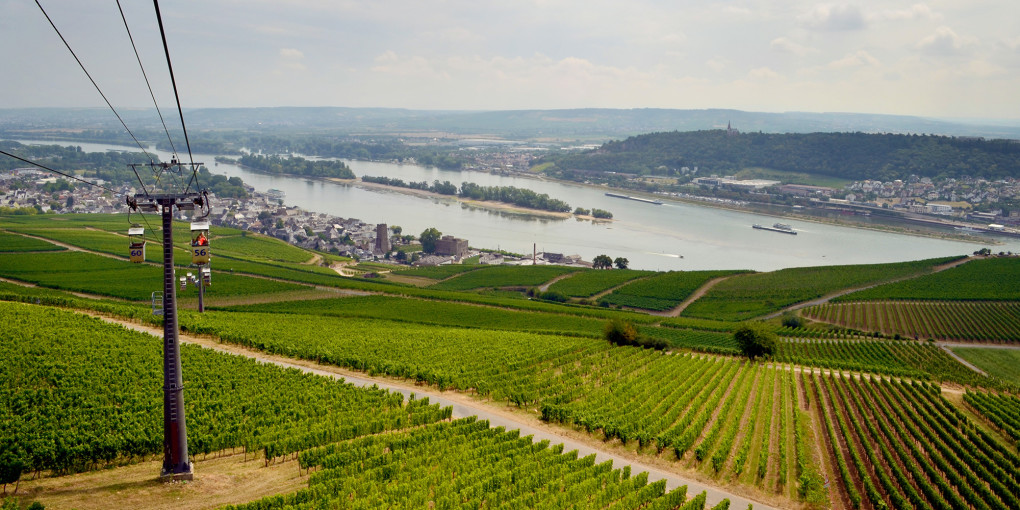 I've Been Bit! A Travel Blog :: Germany's Rüdesheim am Rhein
