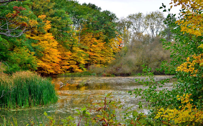 Views of Martindale Pond in Autumn from the Green Ribbon Trail :: I've Been Bit! Travel Blog