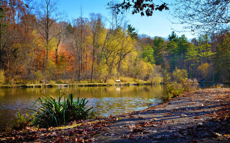 Photo of the St Johns Conservation Area Pond in Late Autumn :: I've Been Bit! Travel Blog