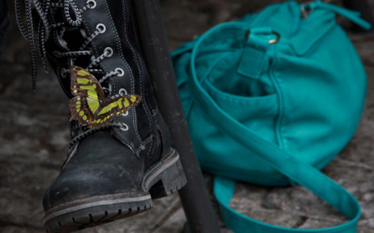Black and Yellow Butterfly on a Black Boot with a Teal Purse in the Background :: I've Been Bit! Travel Blog