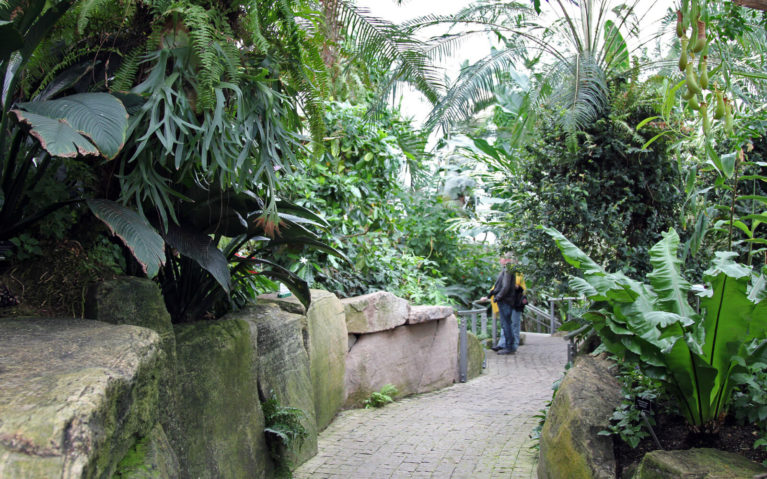 Inside the Niagara Falls Butterfly Conservatory :: I've Been Bit! Travel Blog