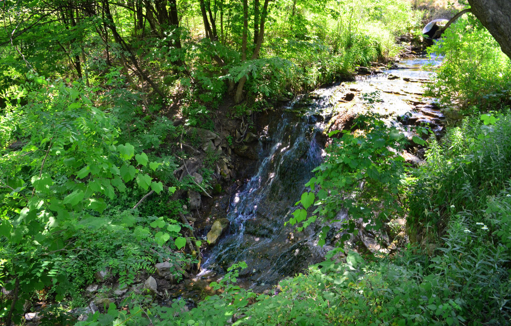 I've Been Bit! A Travel Blog :: Hiking Hamilton Sulphur Line Rail Trail