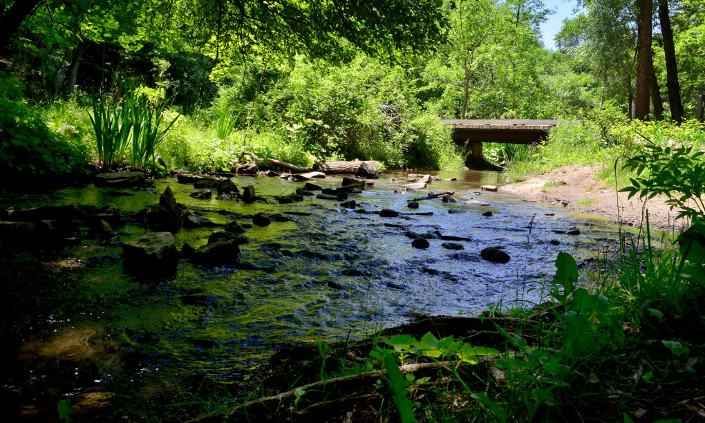 I've Been Bit! A Travel Blog :: Bruce Trail Beginner's Guide