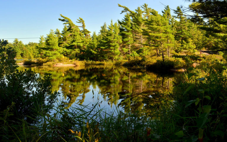 Golden Hour at Fairy Lake :: I've Been Bit! Travel Blog