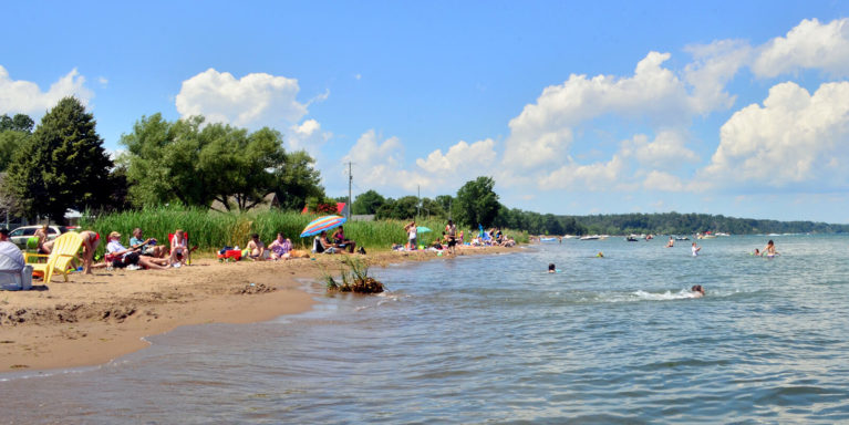 People Enjoying a Sunny Day on the Shores of Turkey Point Beach :: I've Been Bit! Travel Blog