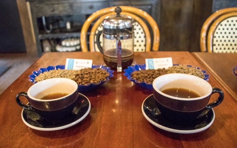 Coffee Cups, Beans and Coffee Press Sitting on Table at Esselon Café in Western Massachusetts :: I've Been Bit! Travel Blog