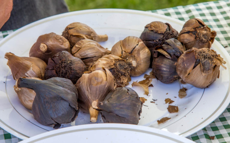 Bulbs of Black Garlic at the Perth Garlic Festival :: I've Been Bit! Travel Blog
