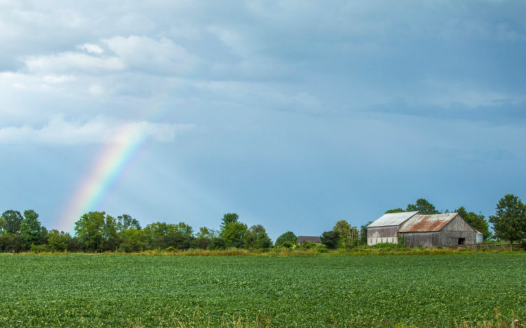 Rainbow Over a Field in Lanark County Ontario's Highlands :: I've Been Bit! Travel Blog