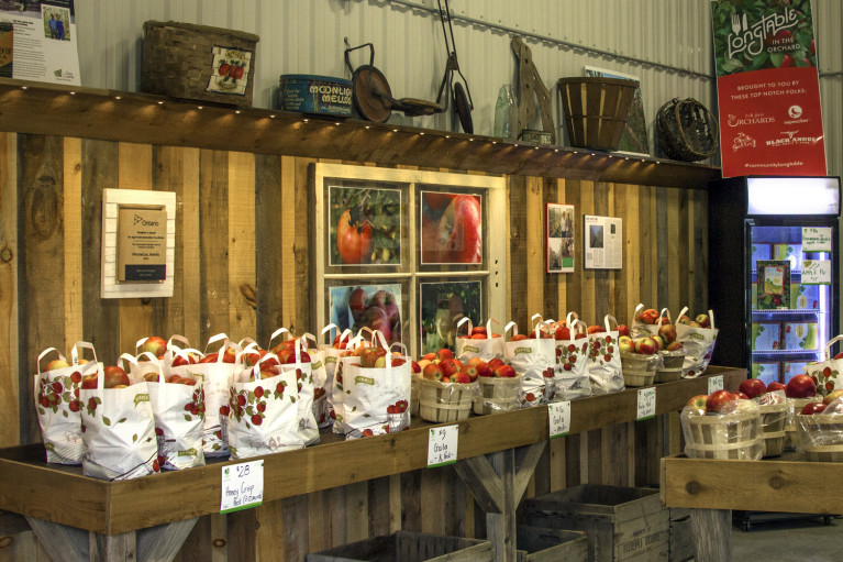 I've Been Bit! A Travel Blog :: Grey County Autumn Adventures - Apple Picking T&K Ferri Orchards Market