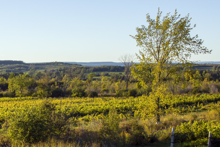 Autumn Colours in Grey County Ontario Canada :: I've Been Bit! A Travel Blog