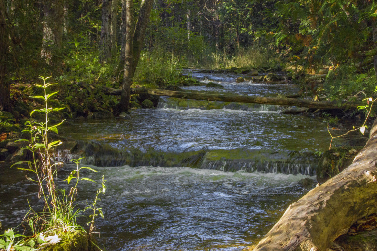 I've Been Bit! A Travel Blog - Grey County Autumn Adventures Syndenham River