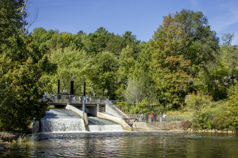 I've Been Bit! A Travel Blog - Grey County Autumn Adventures Mill Dam Owen Sound