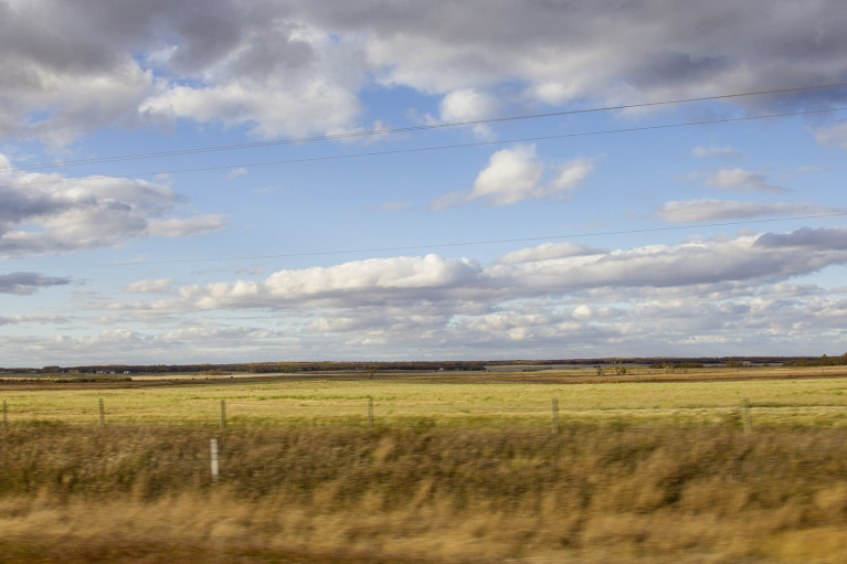 Manitoba Fields - Photos That'll Inspire Your Manitoba Trip :: I've Been Bit! A Travel Blog