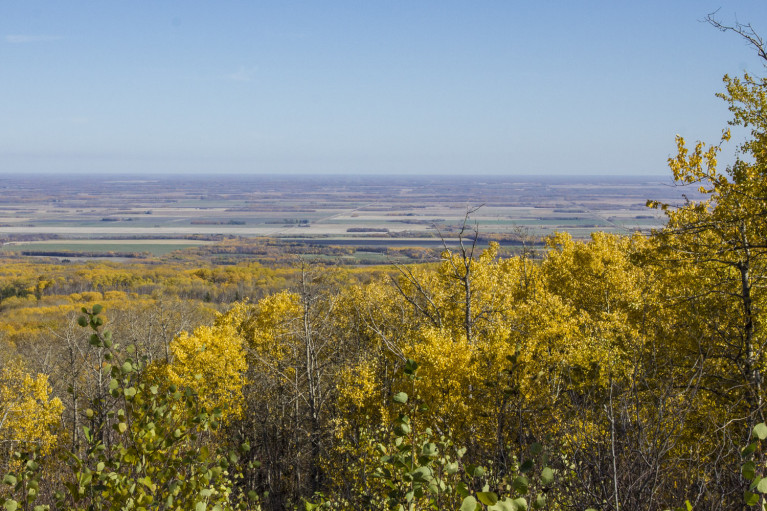 View from Lookout in Riding Mountain National Park - 20+ Photos Guaranteed to Inspire a Manitoba Road Trip :: I've Been Bit! A Travel Blog