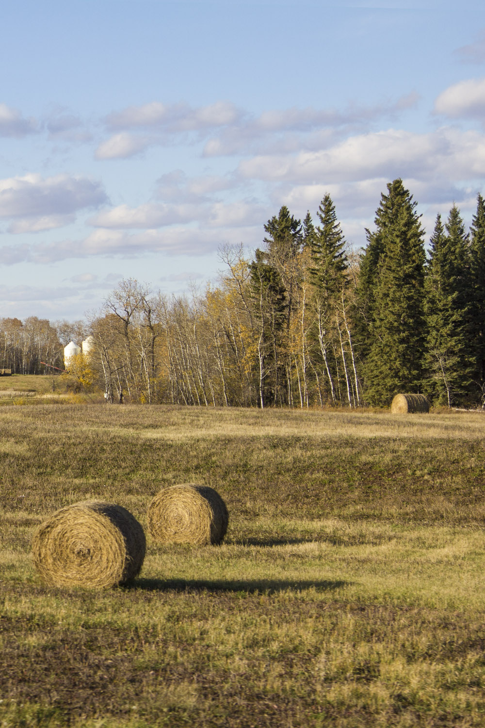 Hay Bales in Field - 20+ Photos Guaranteed to Inspire a Manitoba Road Trip :: I've Been Bit! A Travel Blog