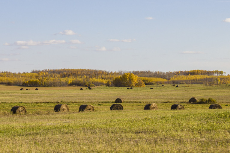 20+ Photos Guaranteed to Inspire a Manitoba Road Trip
