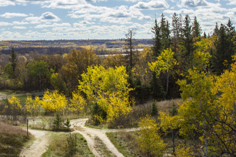 Spirit Sands - 20+ Photos Guaranteed to Inspire a Manitoba Road Trip :: I've Been Bit! A Travel Blog