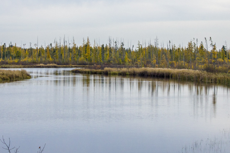 River Reflections - 20+ Photos Guaranteed to Inspire a Manitoba Road Trip :: I've Been Bit! A Travel Blog