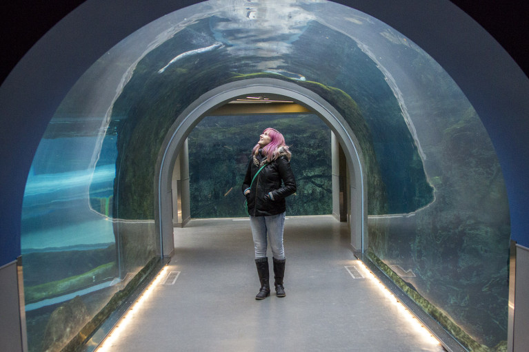 Admiring the Sea Lions of the Assiniboine Park Zoo, Manitoba Road Trip - 7 Days of Canadian Prairie Adventure :: I've Been Bit A Travel Blog