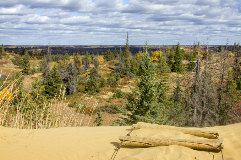 From the Top of the Sand Dunes, Manitoba Road Trip - 7 Days of Canadian Prairie Adventure :: I've Been Bit A Travel Blog