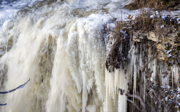 Close Up of Crest - Hiking Hamilton's Borer's Falls :: I've Been Bit! A Travel Blog