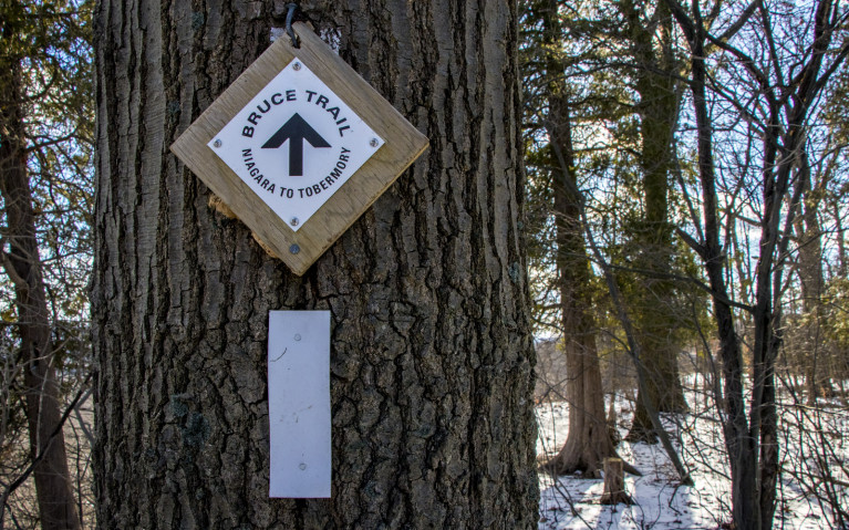 Bruce Trail Blazes along Hiking Hamilton's Borer's Falls :: I've Been Bit! A Travel Blog