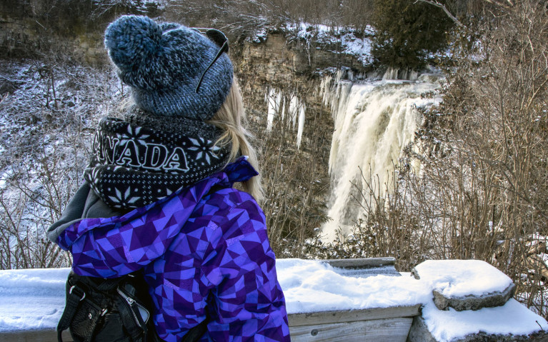 Borer's Falls from the Lookout Platform - Hiking Hamilton's Borer's Falls :: I've Been Bit! A Travel Blog