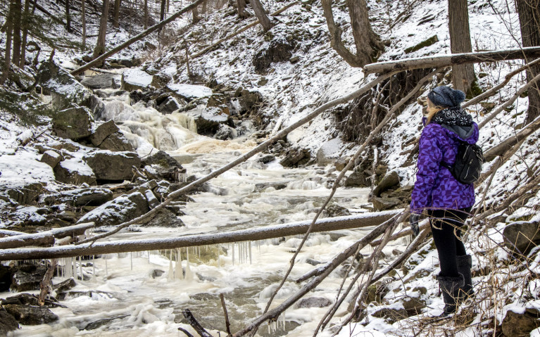 Walking along Borer's Creek - Hiking Hamilton's Borer's Falls :: I've Been Bit! A Travel Blog