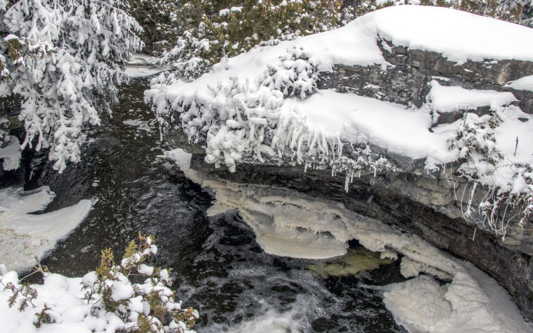 Limestone Cliffs in Rockwood Conservation Area :: I've Been Bit! A Travel Blog