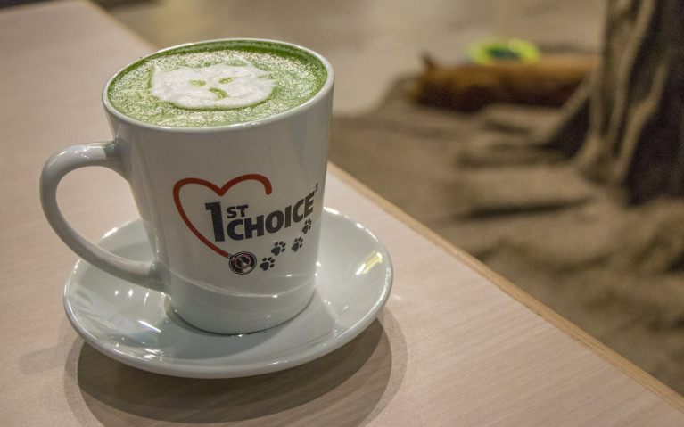 Matcha Latte at My Kitty Cafe :: I've Been Bit! A Travel Blog