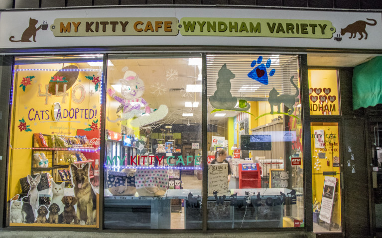 Outside of My Kitty Cafe at 117 Wyndham St N in Guelph :: I've Been Bit! A Travel Blog