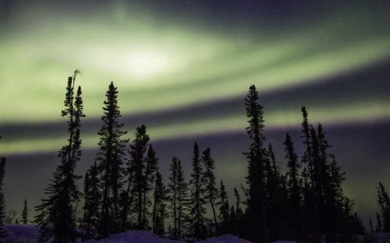 Northern Lights (definitely a Canada bucket list item!) swirling across the sky behind the silhouetted tree line :: I've Been Bit! Travel Blog