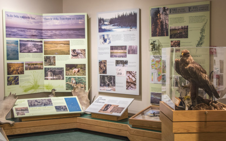 Inside the Wood Buffalo National Park Visitors Centre :: I've Been Bit! A Travel Blog