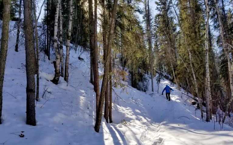 Winter Adds a Level of Toughness to Any Fort Smith Hike! :: I've Been Bit! A Travel Blog
