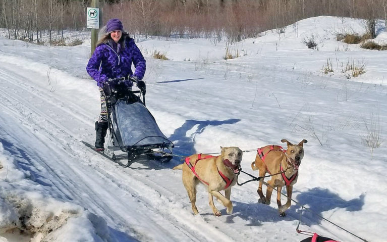 Dogsledding with Midnight Sun Kennels :: I've Been Bit! A Travel Blog 