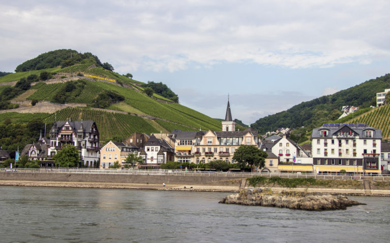 View from Assmanshausen from the Rhine River :: I've Been Bit! A Travel Blog