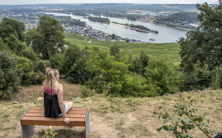 Views Along the Rhine River :: I've Been Bit! A Travel Blog