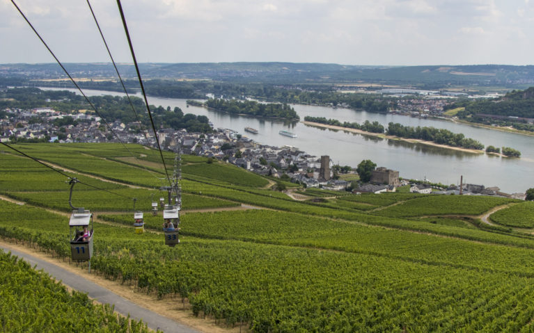 View from the Rüdesheim Cable Car :: I've Been Bit! A Travel Blog