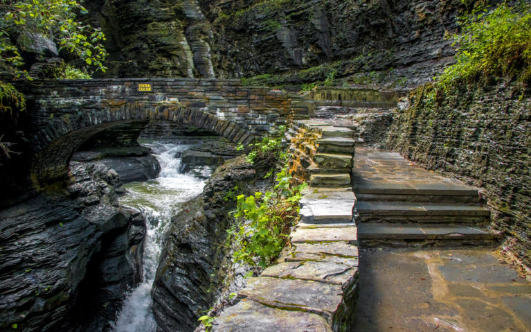 With Views Like This, You Gotta Visit Watkins Glen NY! :: I've Been Bit! A Travel Blog