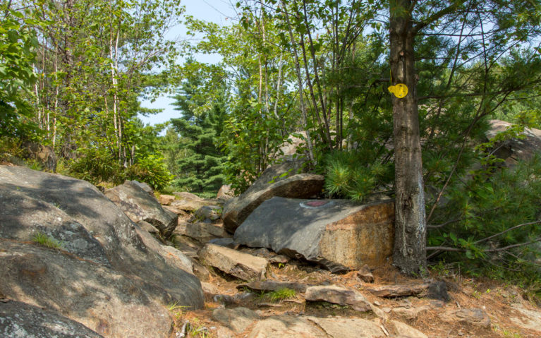 Watch for the Markers Along the Onaping Falls Trail :: I've Been Bit! A Travel Blog