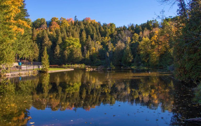Belfountain Conservation Area is a Perfect Autumn Destination :: I've Been Bit! A Travel Blog