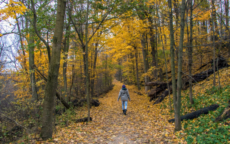 Lindsay Out for a Hike in Autumn :: I've Been Bit! Travel Blog