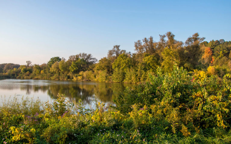 Views of the Grand River Along the Walter Bean Trail :: I've Been Bit! A Travel Blog