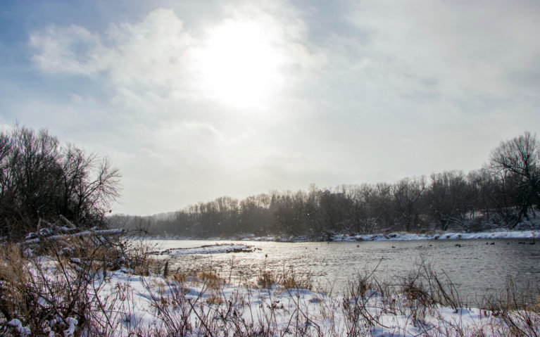 Walter Bean Trail, the Grand River Trail Kitchener :: I've Been Bit! A Travel Blog