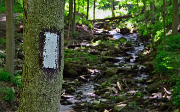 Blaze of the Bruce Trail, One of the Main Hamilton Hiking Trails :: I've Been Bit! A Travel Blog